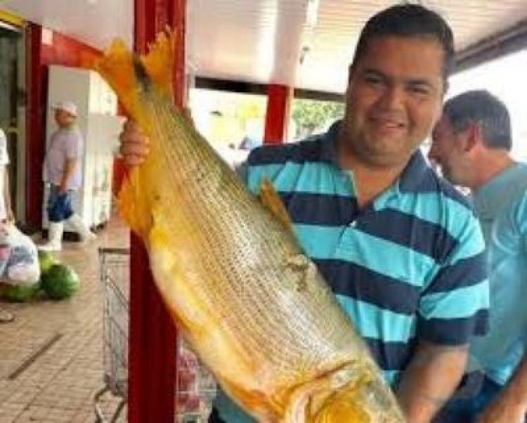 Prepotencia: Concejal Martín Pochó amenaza con despido a funcionarios municipales