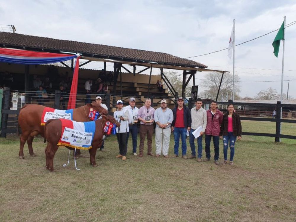 Cabaña pedrojuanina con dos Grandes Campeonas en la Exponorte 2019
