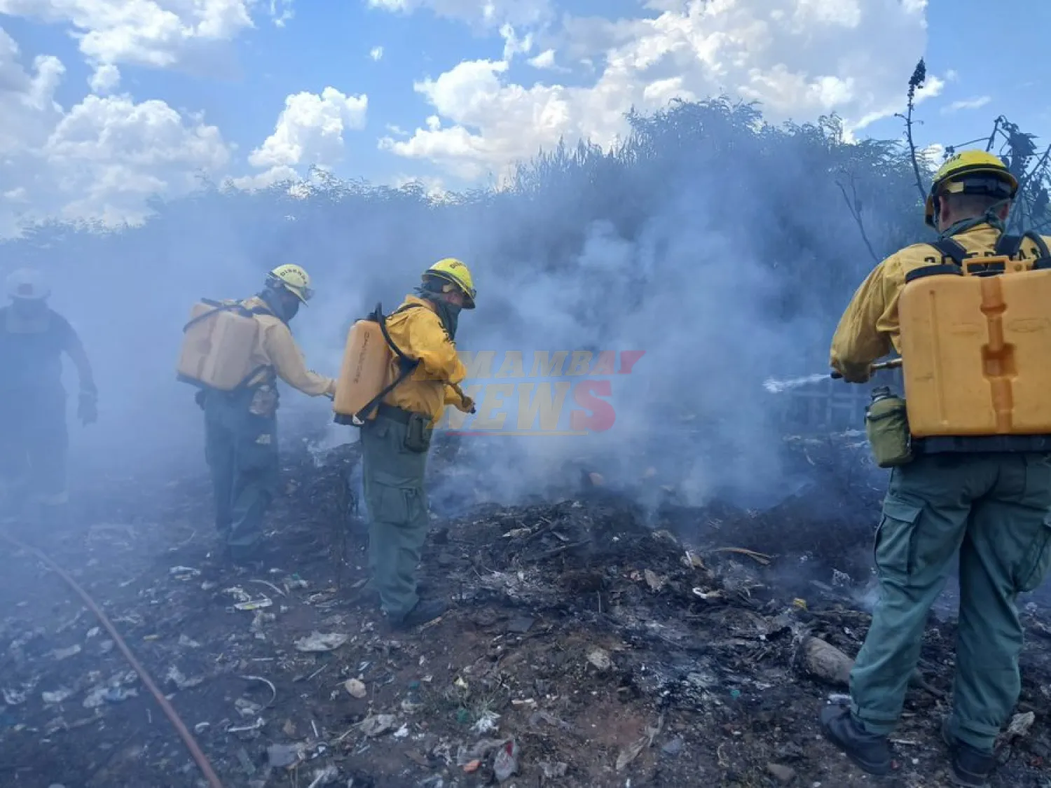 Bomberos logran controlar incendio en la Costanera Sur