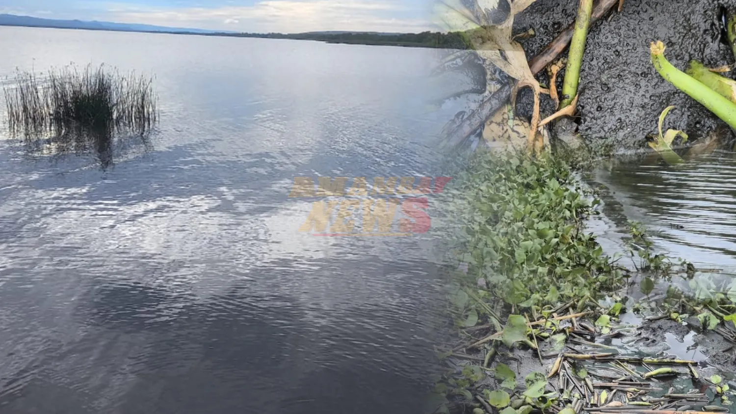 Lago Ypacaraí: un depósito de cloacas a la espera de su recuperación