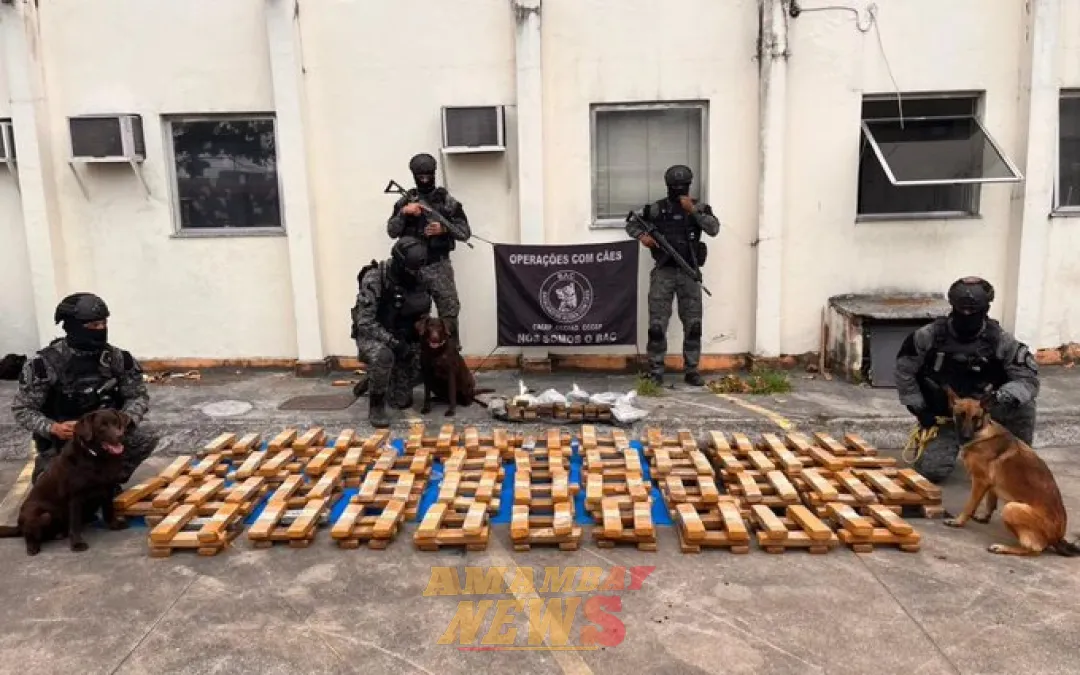 Policía incauta una tonelada de marihuana en una escuela de Brasil