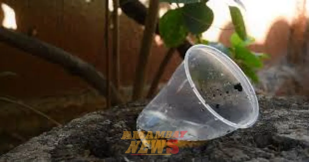 Salud reitera la necesidad de eliminar los criaderos de mosquitos