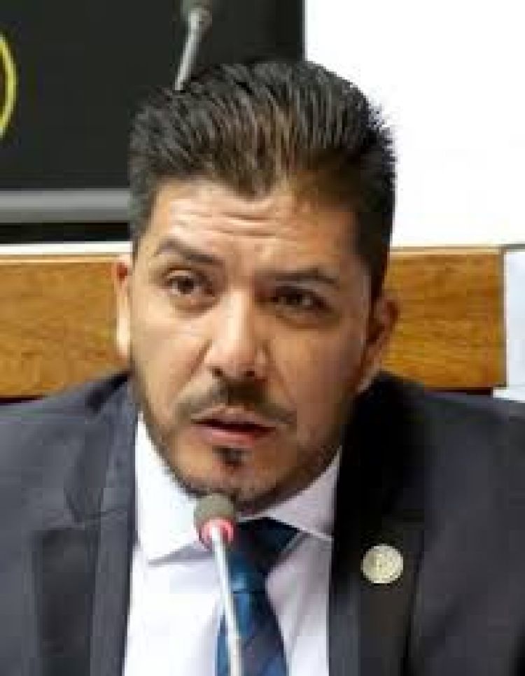 Carlos Portillo sería expulsado hoy de la Cámara de Diputados