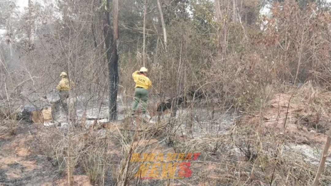 Lluvias aplacan incendios forestales en el Chaco: Sin focos de calor en áreas protegidas, reporta Mades