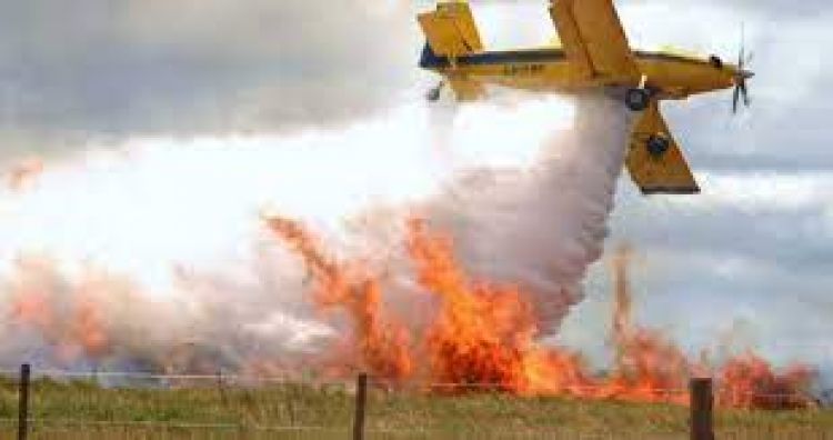 Senado pide declarar emergencia nacional y comprar aviones hidrantes