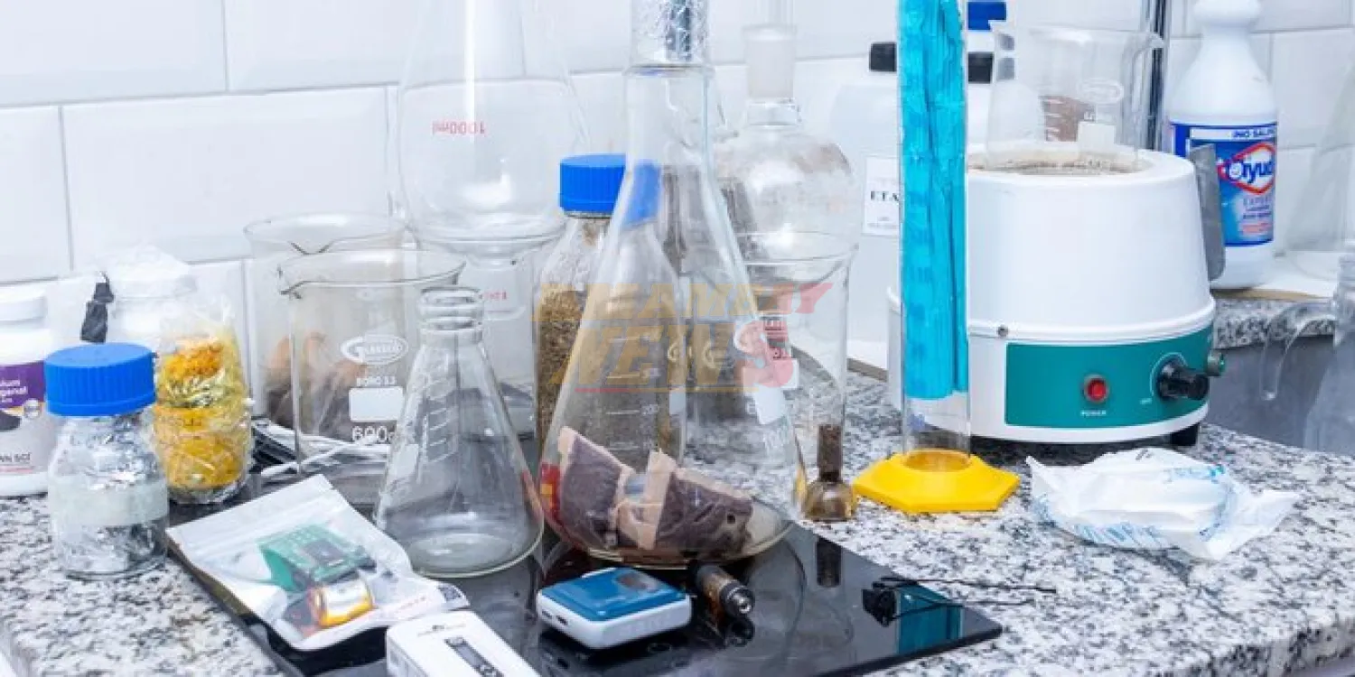 Detienen a norteamericano que montó laboratorio de cannabis en un departamento