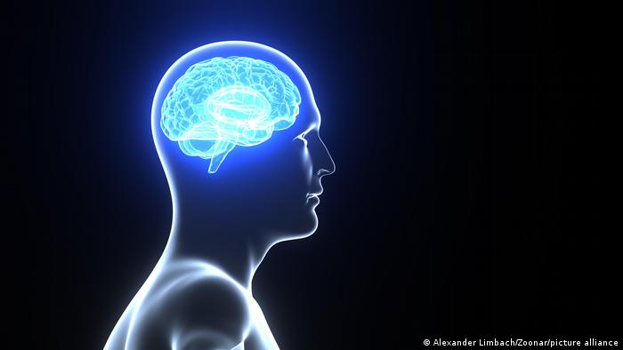 Estudio señala prometedor avance para el diagnóstico de la enfermedad de Parkinson