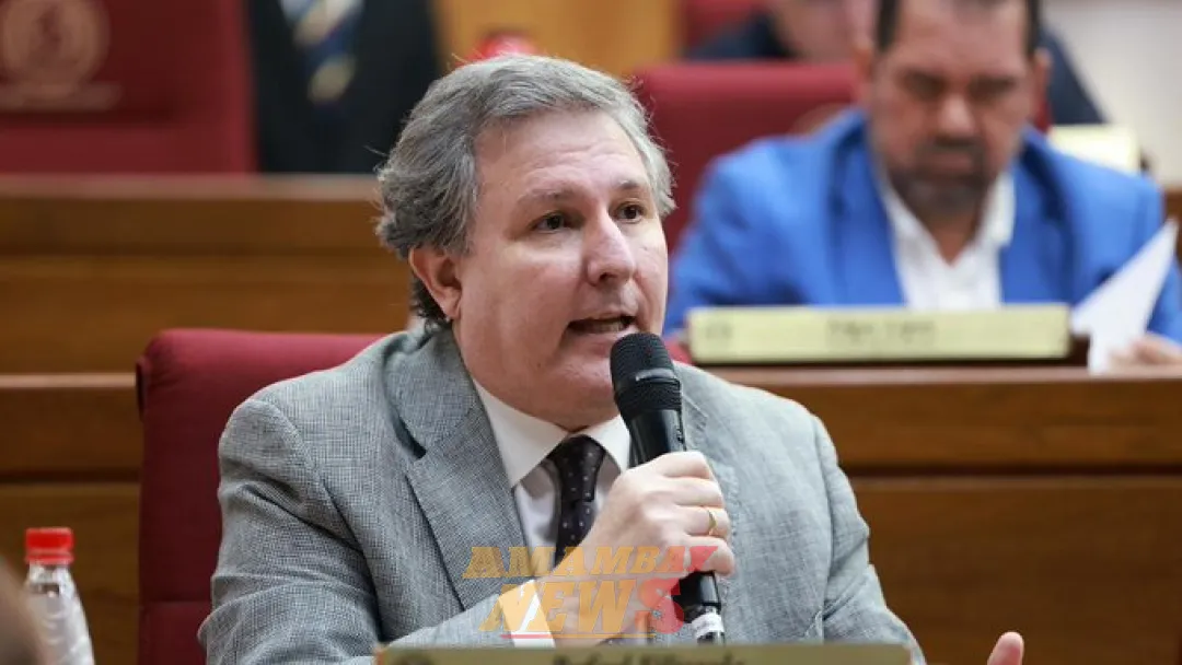 Filizzola cuestiona ataques del presidente Santiago Peña contra la prensa