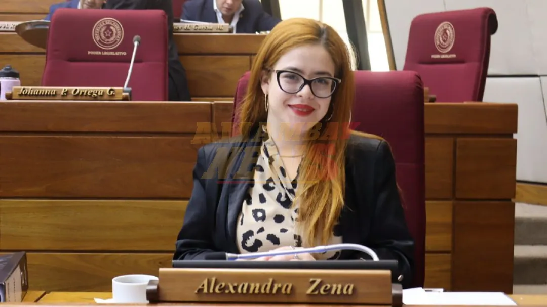 Diputado advierte sobre uso indebido del poder para favorecer a familiares: “Es tráfico de influencia”