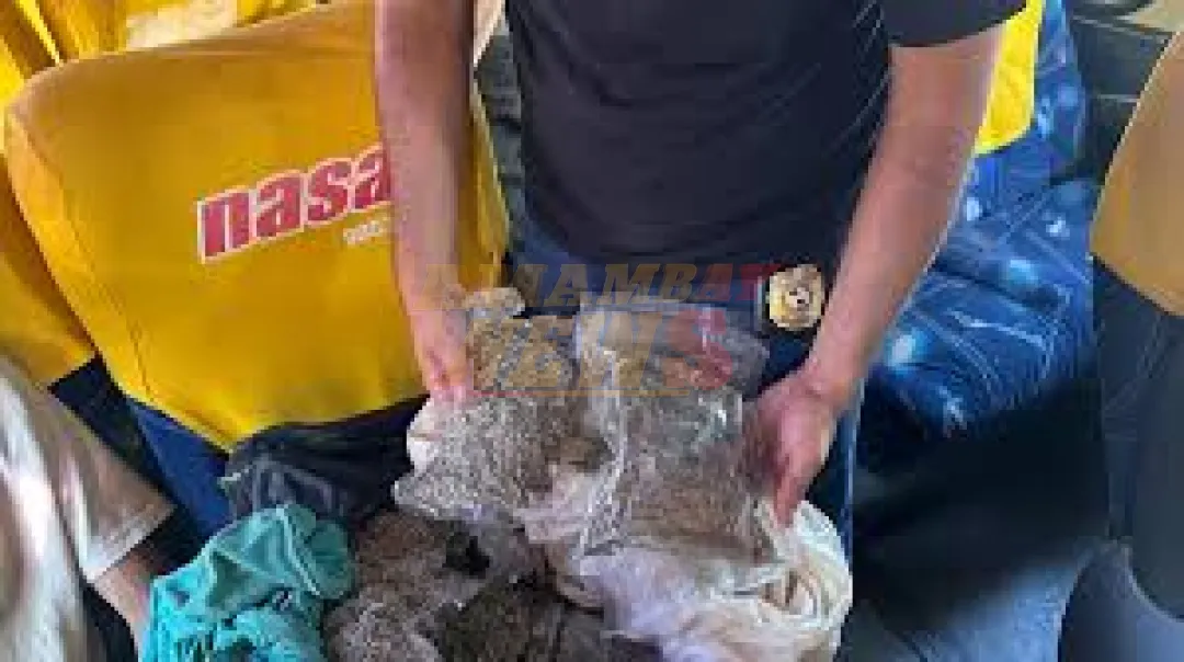 Detienen a pasajero de ómnibus con casi 6 kilos de marihuana Skunk en Concepción