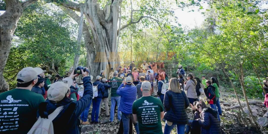 “Colosos de la Tierra”: los árboles de áreas protegidas se hacen protagonistas