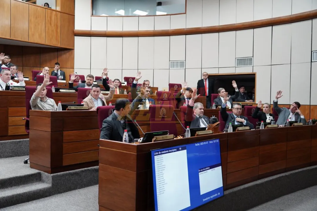 Disidencia colorada se divide en el Senado