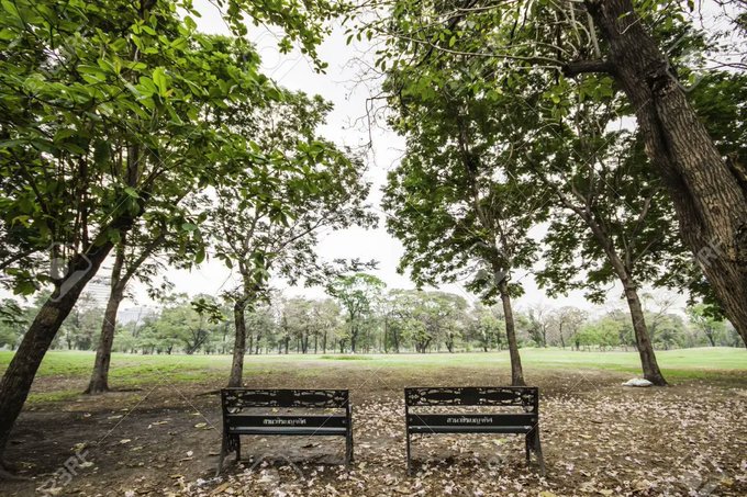Anuncian ambiente fresco a cálido y soleado a nivel país