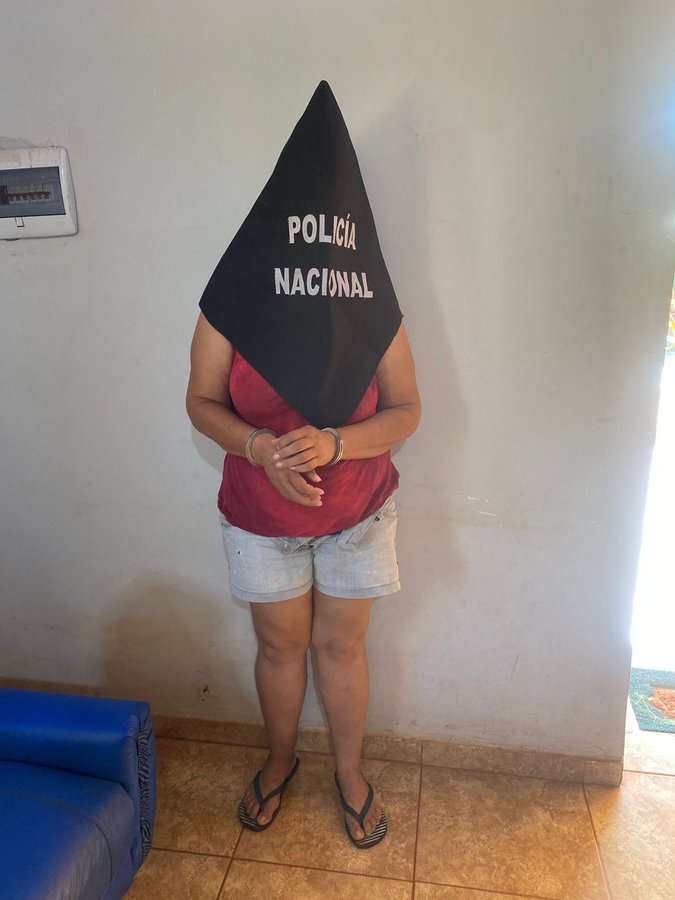 Detienen a una mujer por violencia domestica