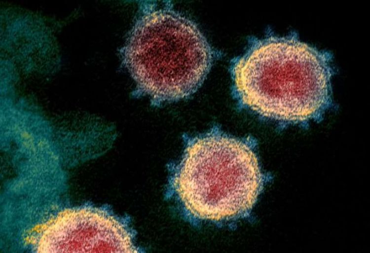 Covid-19: Sudáfrica investiga otra variante del patógeno vinculada a su segunda ola de infecciones