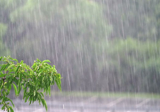 Prevén lluvias en el chaco, norte y este de la región oriental