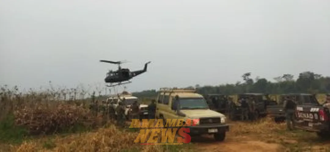 SENAD y CODI destruyen 14 campamentos narcos en Canindeyú