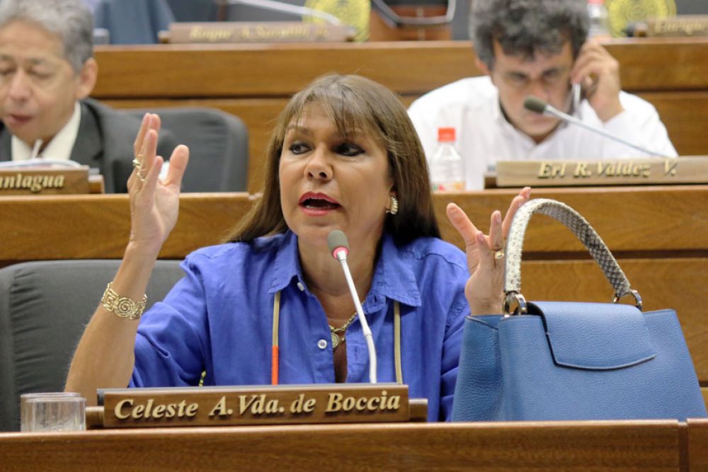 Celeste Amarilla: No podemos tener un legislador que pide permiso para irse preso