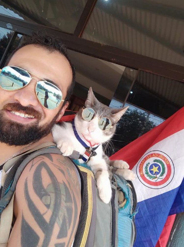 Anuncian manifestación frente a Defensa Animal para pedir justicia para Bella, el gato mochilero