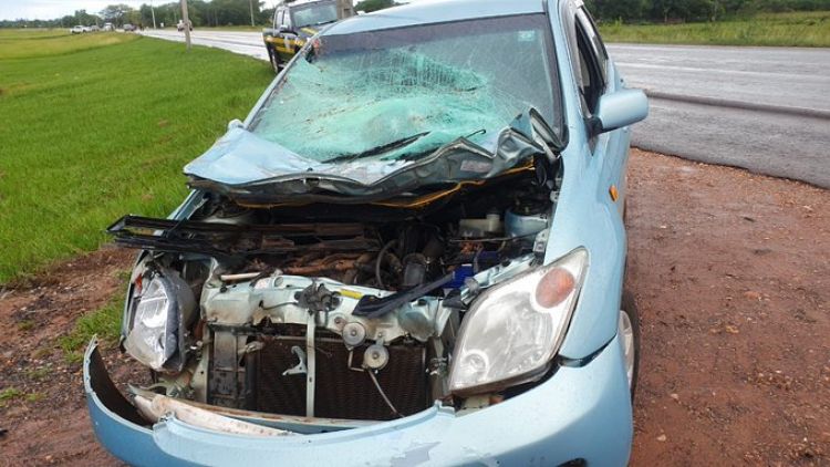Animal suelto ocasiona accidente rutero en Concepción