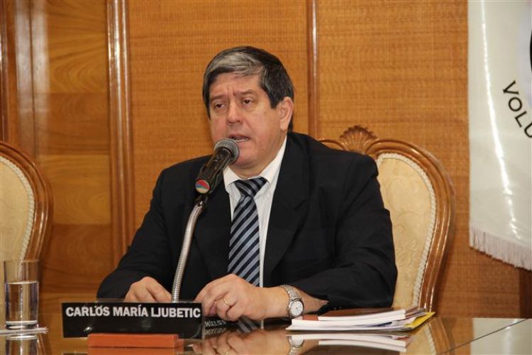Postergación de elecciones traería descrédito a calendarios electorales del futuro, afirma Ljubetic