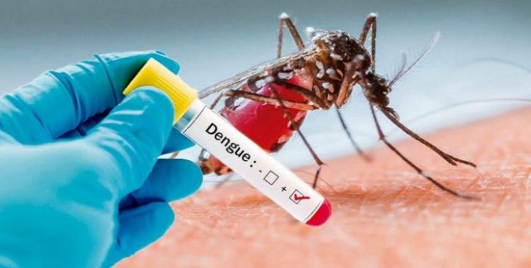 Salud reporta aumento de notificaciones por sospecha de Dengue y 36 casos confirmados