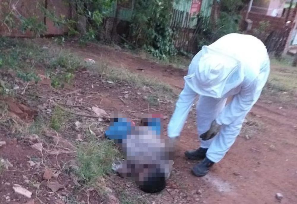 Murió tras ser atacado por un enjambre de avispas