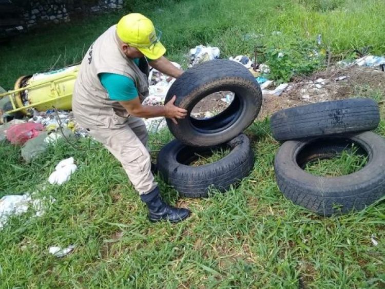 Salud apela a la conciencia ciudadana ante alto índice de infestación en Central y el Chaco