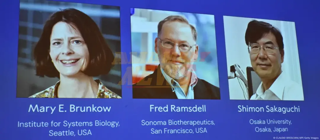 Nobel de Medicina 2025 a avances sobre el sistema inmune