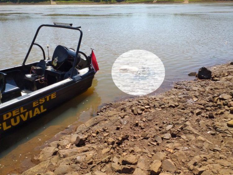 Hallan cadáver a orillas del río Paraná en Presidente Franco