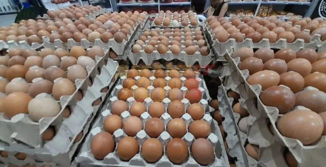 Avicultor explica la razón de la subida del precio de los huevos