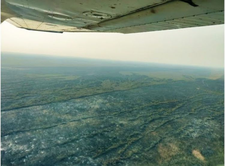 Aeronave se habría estrellado en Chaco