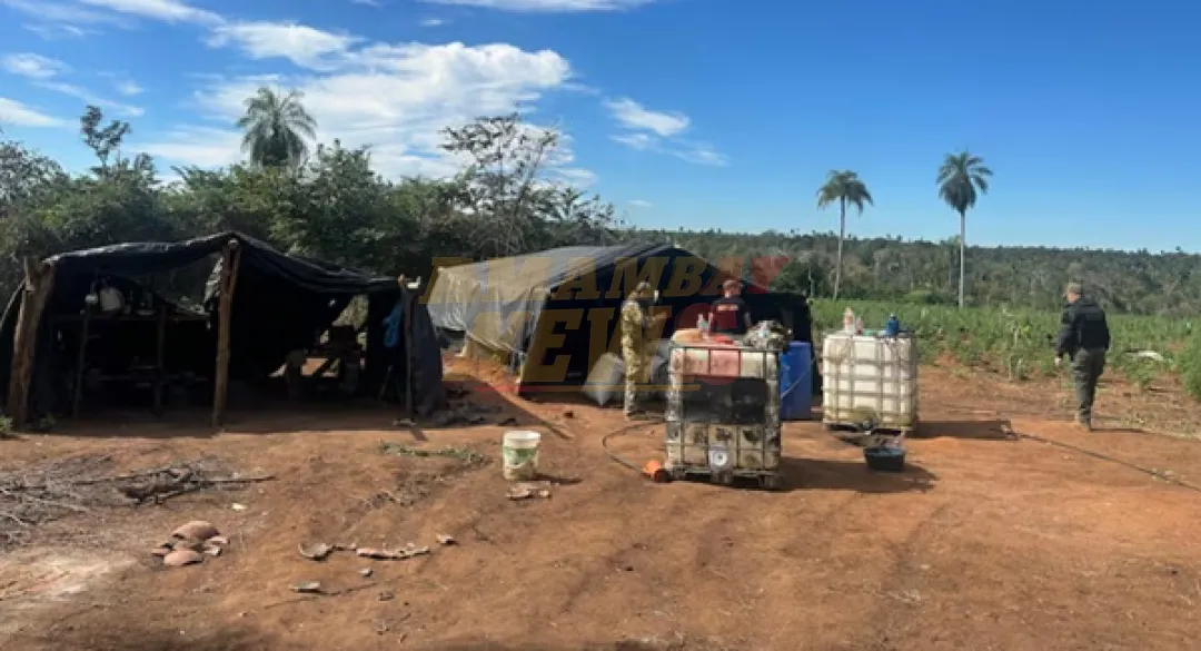 Narcotráfico avanza en el Parque Nacional Paso Bravo