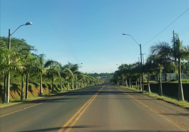 Clima cálido y agradable para este domingo