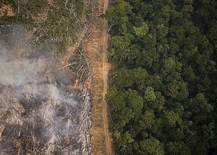 Laguna legal facilita la apropiación de tierras en Brasil