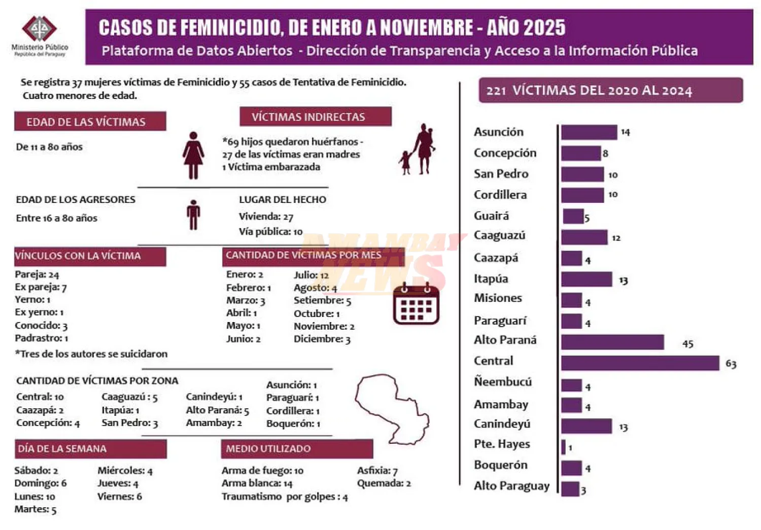 Violencia contra la mujer: 34 causas por feminicidio y 55 tentativas en el país
