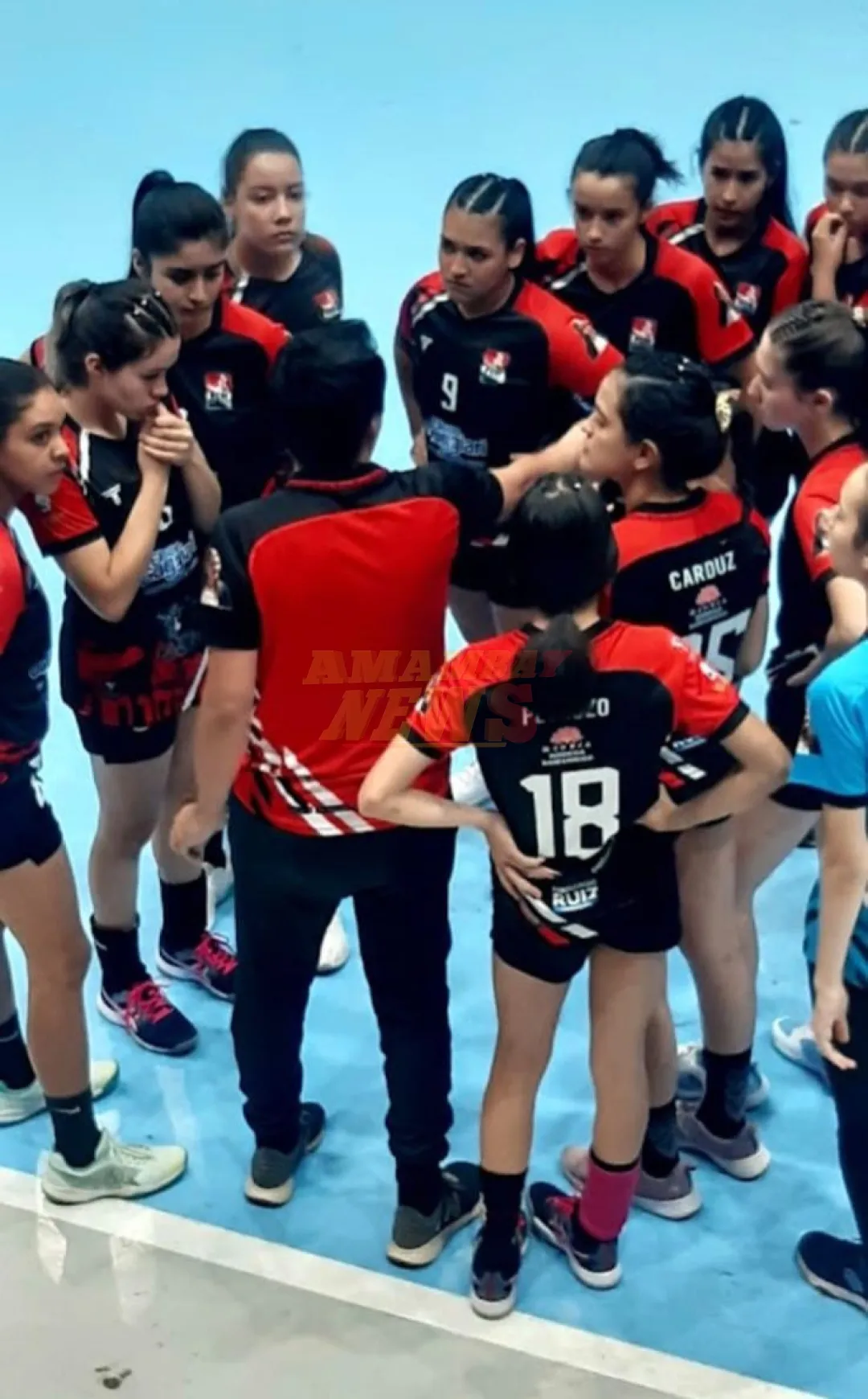 Denuncian supuestas irregularidades en la Federación de Handball de Concepción