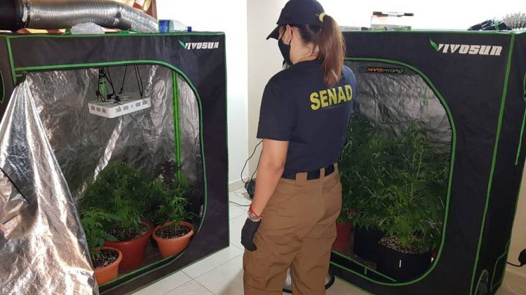 Marihuana Vip: cámara otorgó arresto a otro imputado