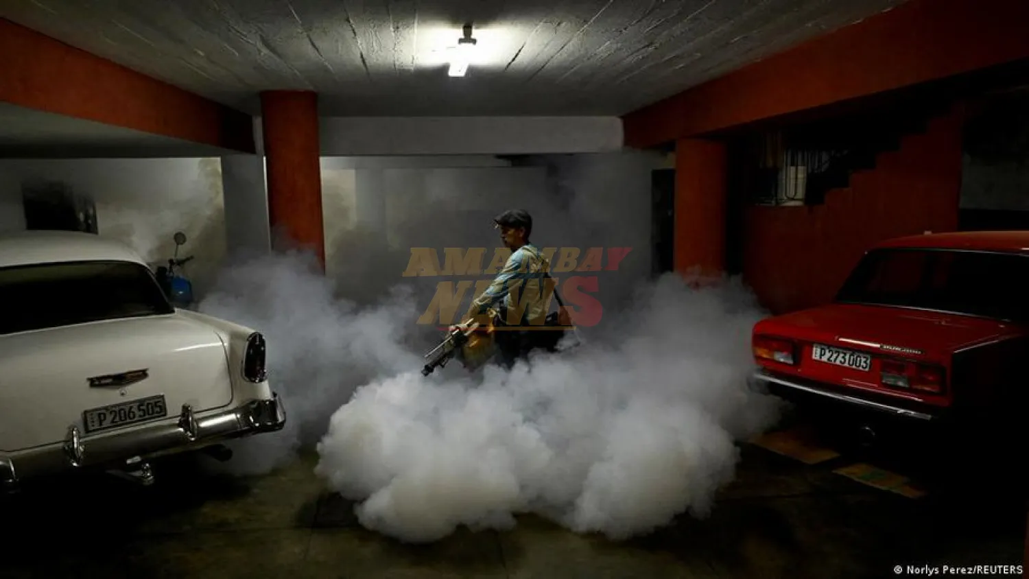 "Chikungunya", la palabra del año en Cuba
