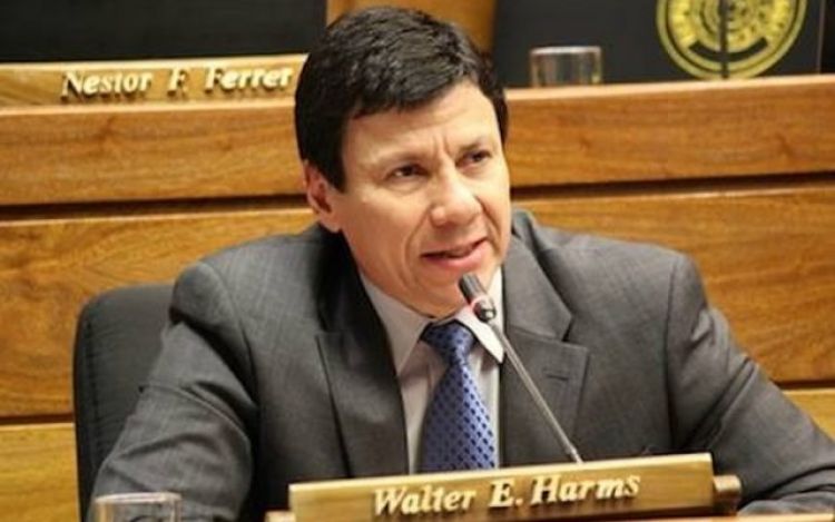 "Estamos gobernados por una persona sin conciencia de la realidad", afirma Harms