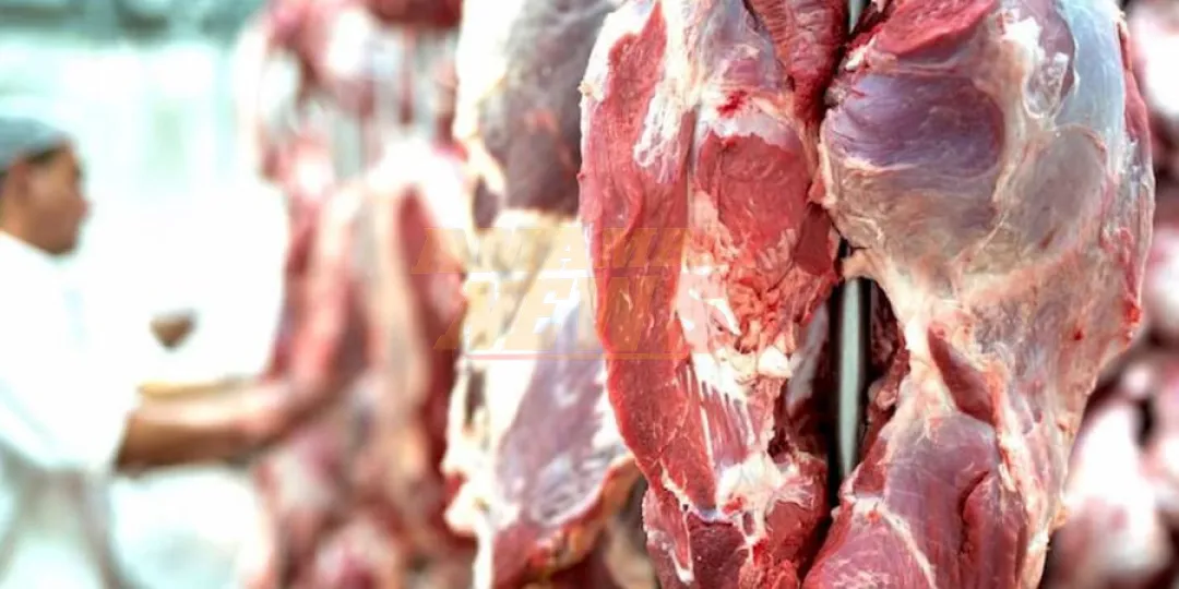 Nuevos aranceles aplicados por EE. UU. se sentirían a corto plazo en el sector cárnico