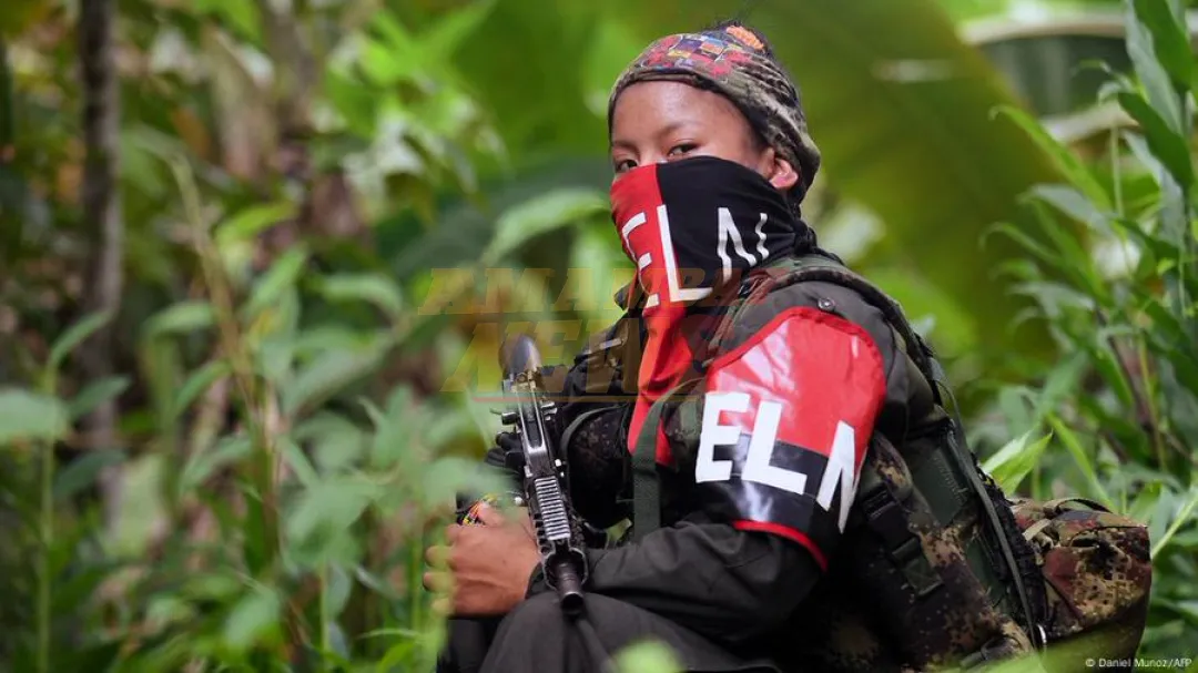 Colombia: liberan a cinco ganaderos secuestrados por el ELN