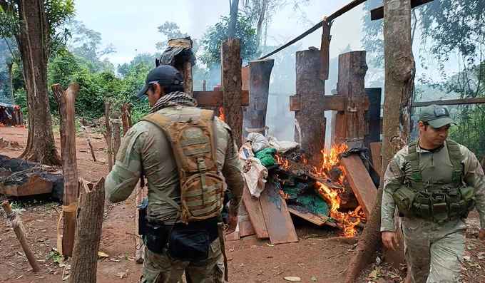 SENAD inutiliza centros de producción de marihuana en Itapúa