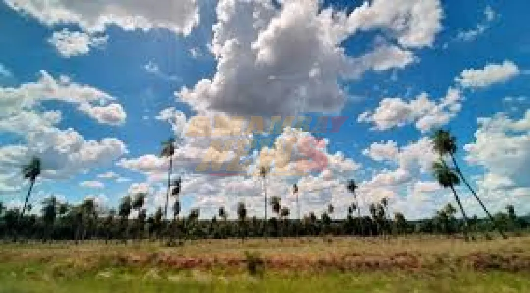 Meteorología anuncia jornada fresca a cálida y vientos del noreste