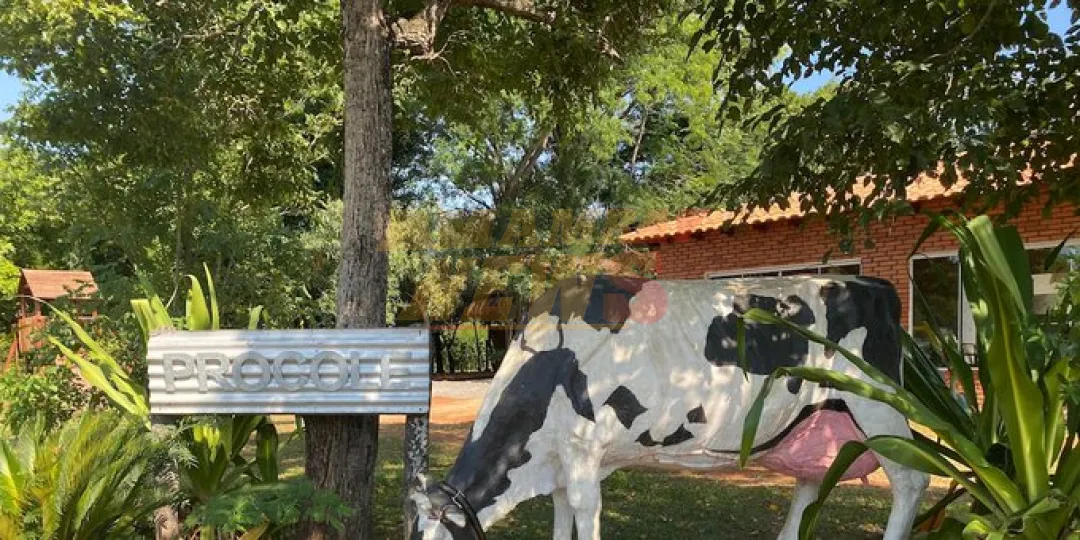En Piribebuy saldrán a decomisar y sacrificar animales sueltos