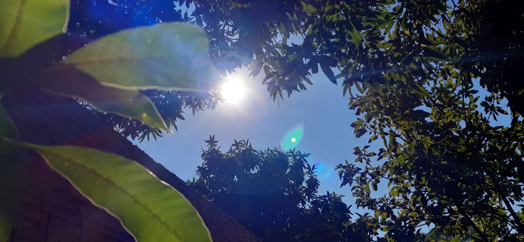 Miércoles con clima caluroso y vientos moderados del norte