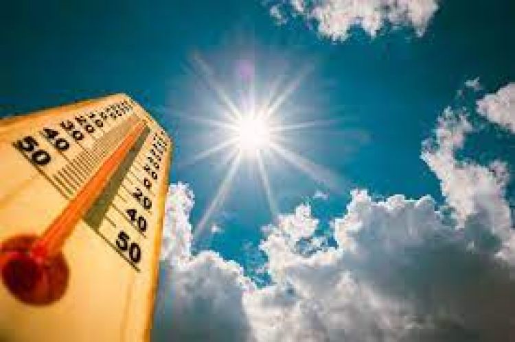 Martes con clima caluroso y vientos variables