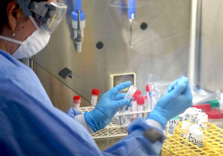 Salud reporta 599 nuevos casos y 16 fallecidos por coronavirus