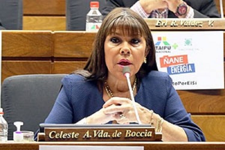 Diputada cuestiona a senadores por «designación amañada» de ministro