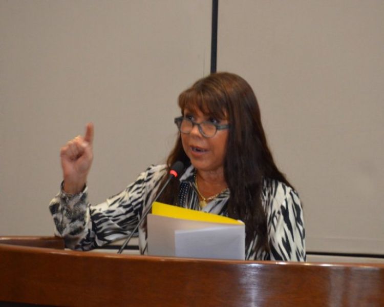 PLRA repudia suspensión de la diputada liberal Celeste Amarilla